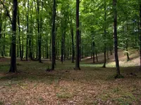 DSCN0289.webp