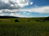DSCN0297.webp