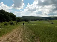 DSCN0298.webp