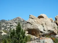 DSCN2567.webp