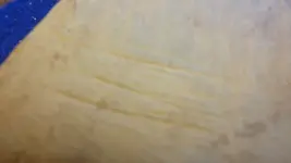 aDSC01749.webp