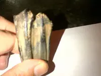 IMG-20130527-00056.webp