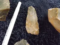 DSCF8110.webp