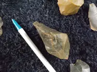 DSCF8111.webp