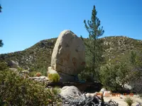 DSCN2578.webp