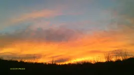 IMAG1174 (2).webp