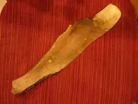 DSCN3120.webp