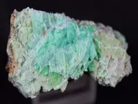 0992038001323598380_640x480.webp