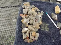 DSCF8113.webp