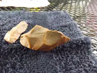 DSCF8115.webp
