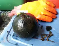 20130602_Steves mortar..webp