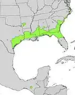 220px-Ilex_vomitoria_range_map.webp