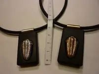 P1000665(1).webp