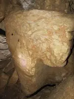 column-capital-465x620.webp column-capital-465x620.webp
