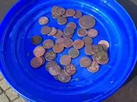 wheats_after.webp