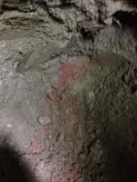 image-400786782.webp