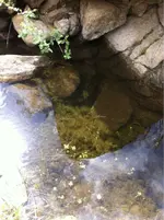 image-3286116907.webp