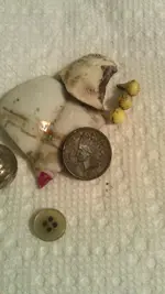 7-2 indian head 1893.webp
