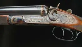 cartridge shot gun.webp