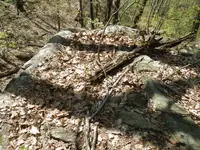 IMGP1634.webp