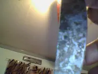 Snapshot_20130527_1.webp