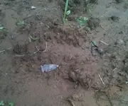 image-2079791987.webp