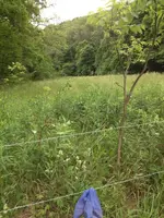 image-1331018154.webp