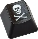 piratical-abandon1.webp
