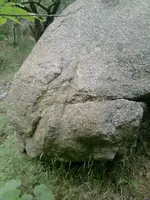 1 (3).webp