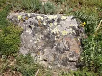 image-1115264500.webp