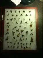 image-4194735623.webp