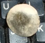 DSCF0005.webp