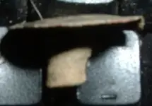 DSCF0008.webp