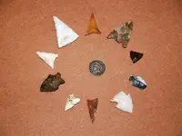 bird points 1.webp