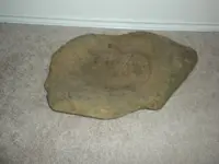 DSCN3373.webp