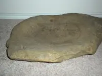 DSCN3374.webp