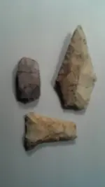 uploadfromtaptalk1372208027403.webp