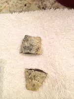 image-1771718804.webp