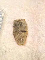 image-829274137.webp