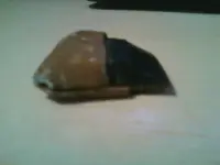 184587_535501493153640_1708656930_n.webp