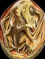 pterosaurA100604.webp