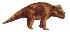 Bagaceratops1202321230.webp