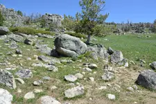 DSC_0002.webp