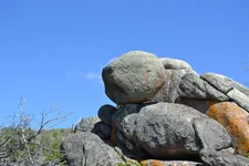 DSC_0007.webp