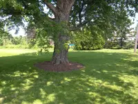 210.webp 210.webp