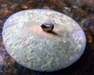 rock7313 012.webp