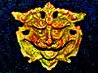 z lionface.webp
