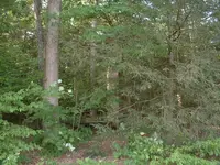 DSCF0001.webp