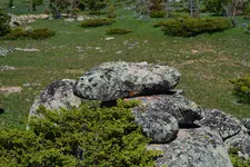 DSC_0021.webp