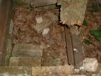DSCF0004.webp